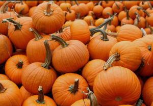 Thanksgiving Best Dessert Pumpkin Caramel Cheesecake